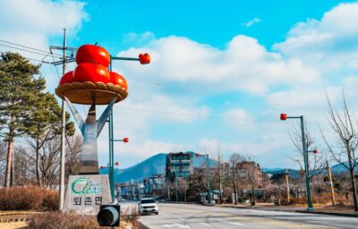 [디자인가로등] 광주시, 퇴촌면 광동리에 ‘토마토 디자인 가로등’ 41기 설치